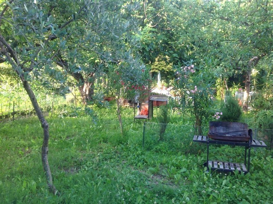 Il Giardino Del Gallo Foligno Quarto foto